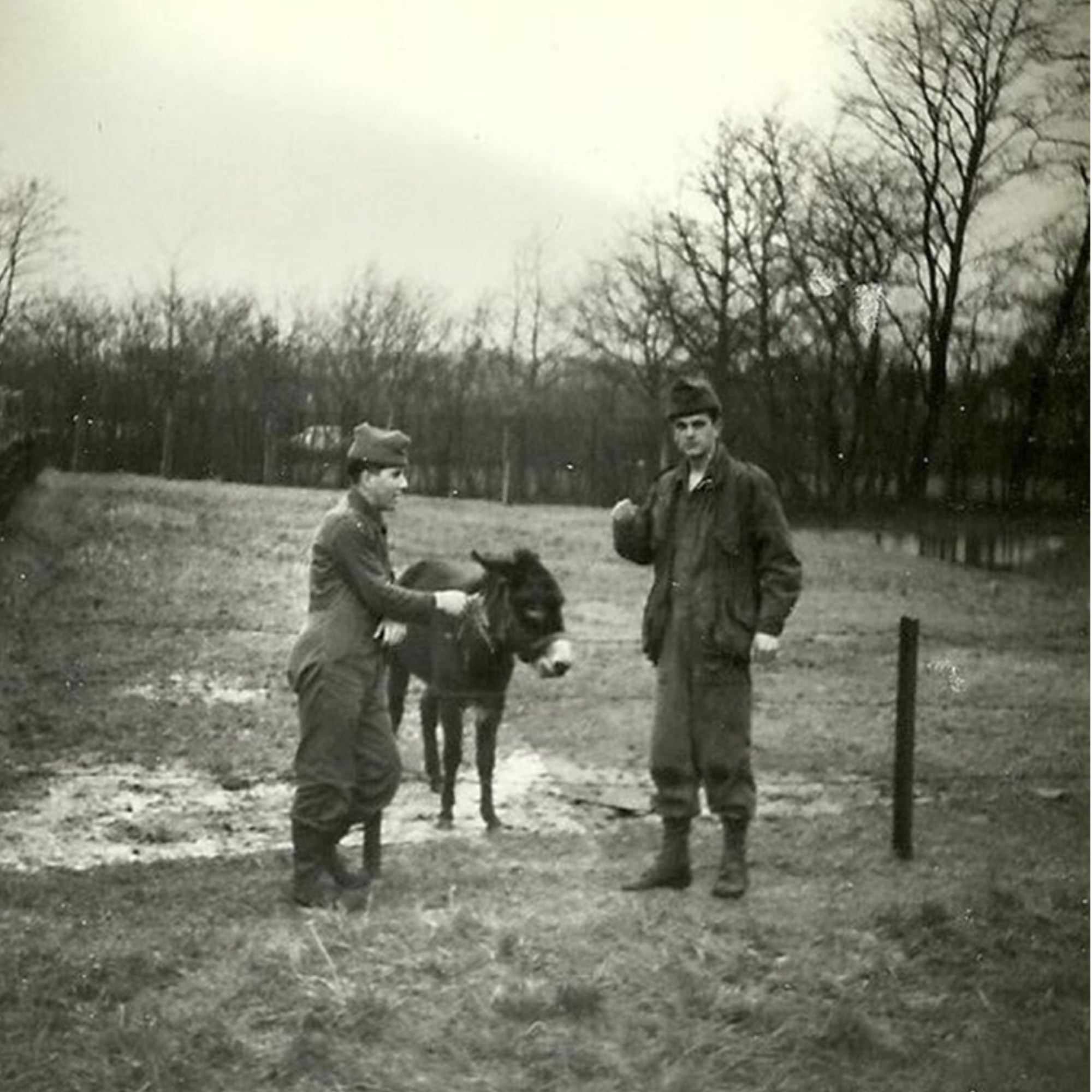 Een oude foto van Snedder de ezel