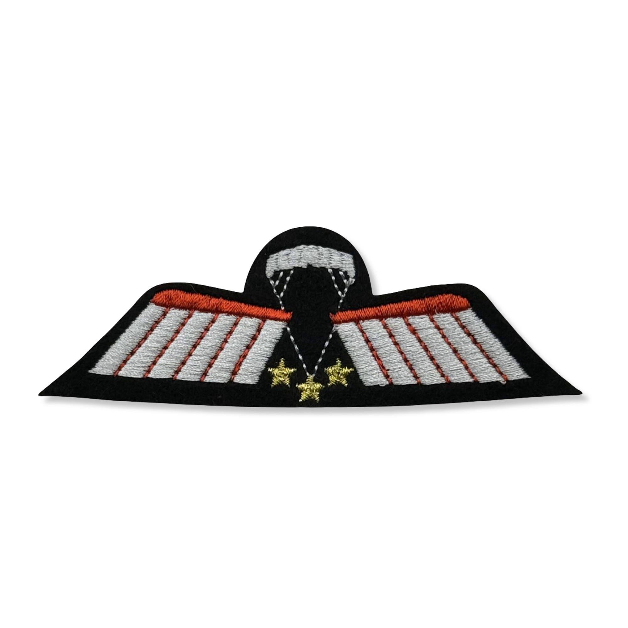 Parawing Brevet C - OPS DT